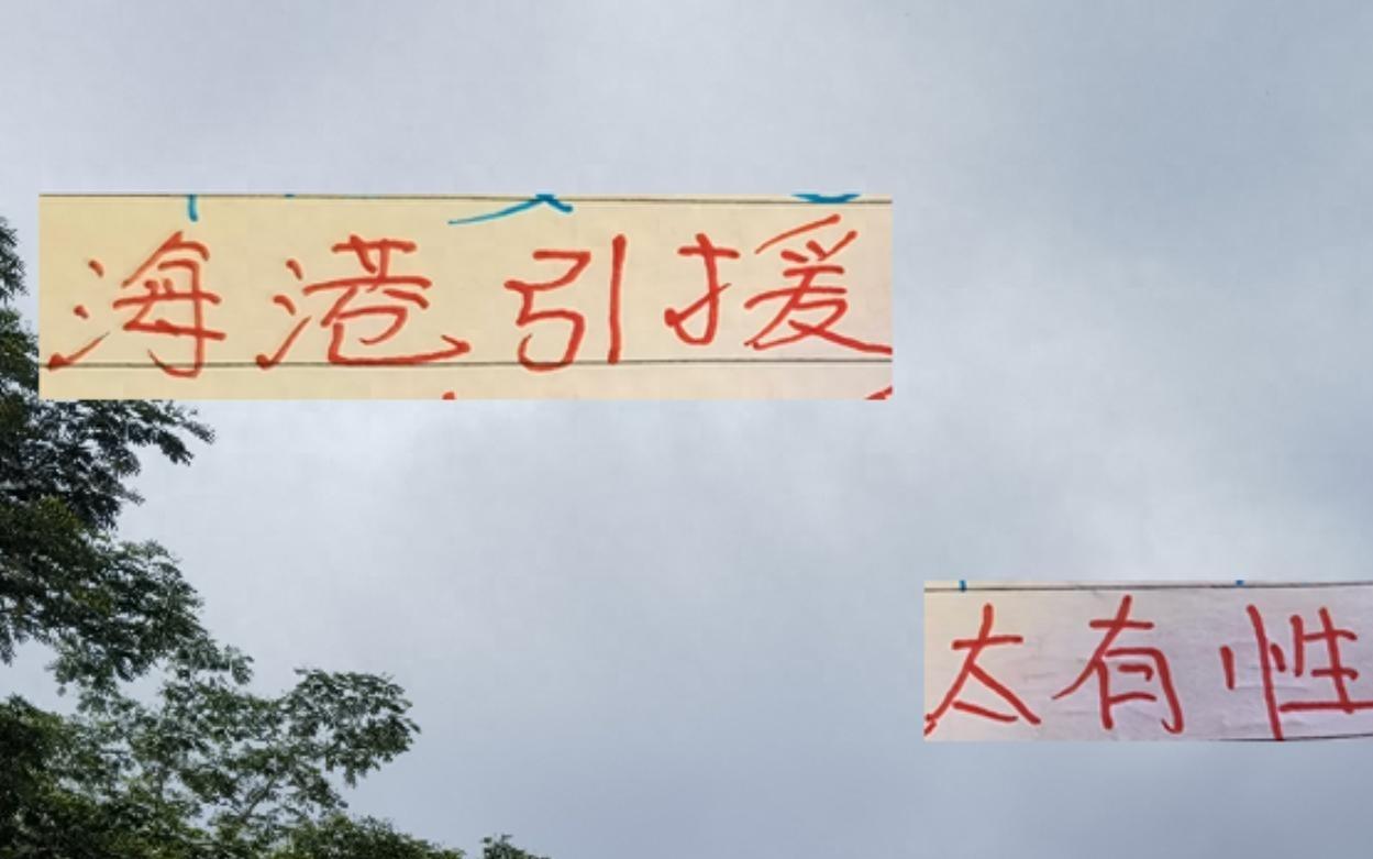 相比隔壁老是湊不齊五外援今年海港一口氣換的4人太有性價(jià)比