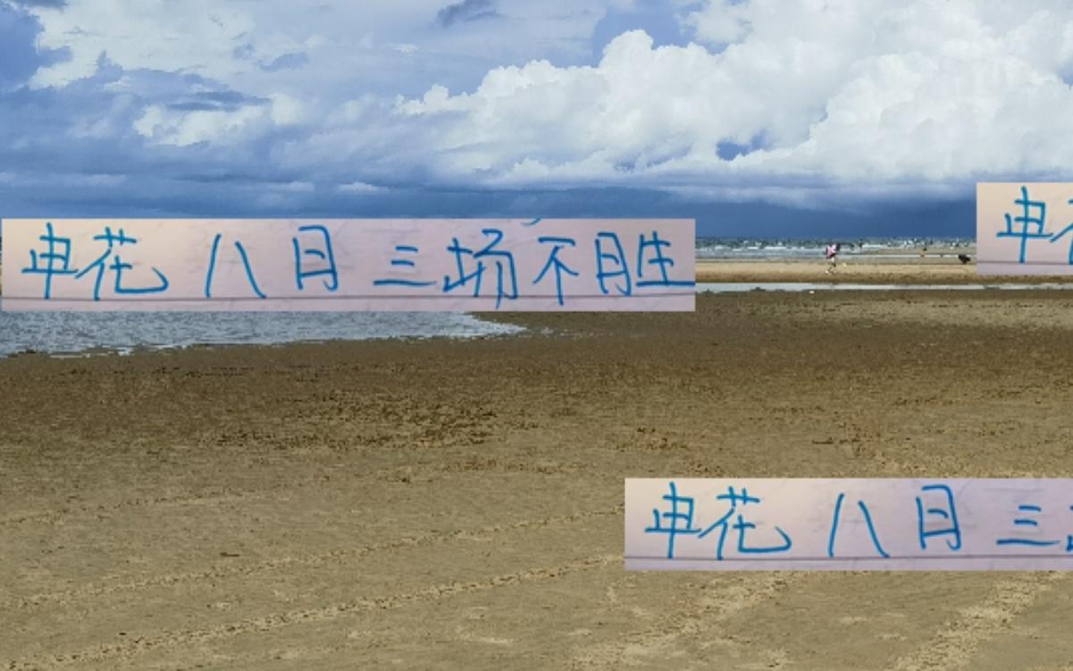 輪到申花“司機(jī)”踩急剎車！云南站海港站浙江站都路路不通