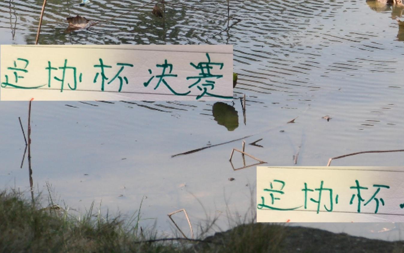 北京國安有柏楊成都有羅慕洛大概率就是這兩個球隊進足協(xié)杯決賽